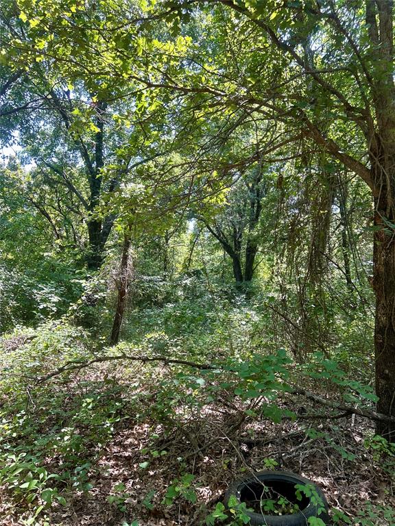 Twisted Oaks Rd Road Property Photo 12