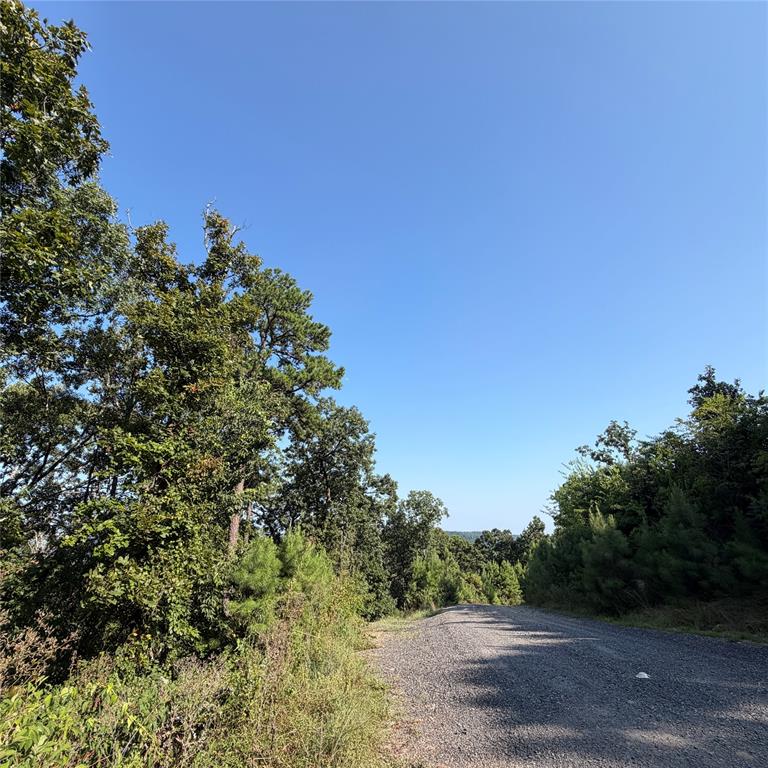 184 Vista Del Lago Trail 38 Property Photo 3