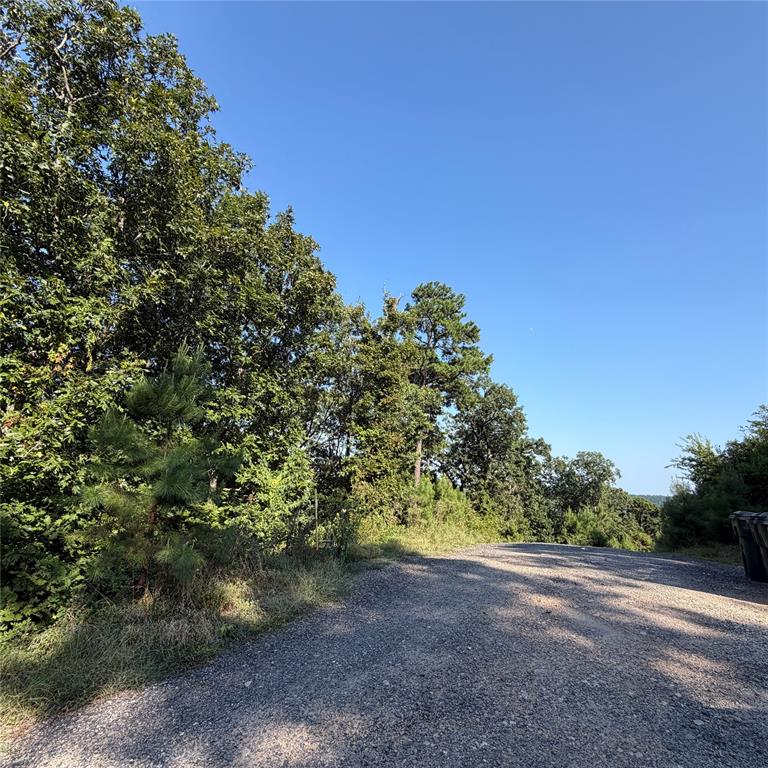 184 Vista Del Lago Trail 38 Property Photo 4