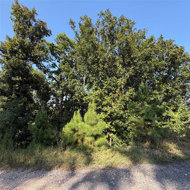 184 Vista Del Lago Trail 38 Property Photo 5