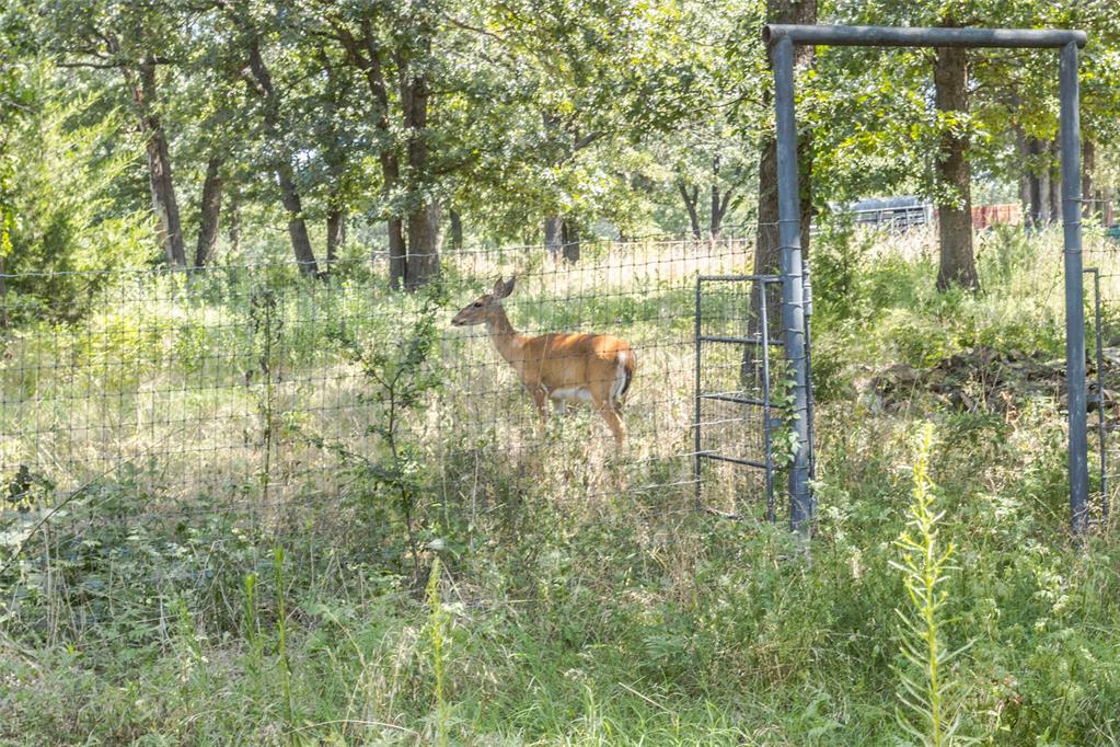 347368 E 800 Road Property Photo 21