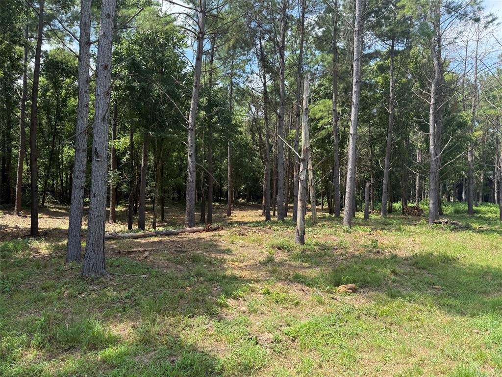 168 Cinnamon Teal Trail Lot 79 Property Photo 1