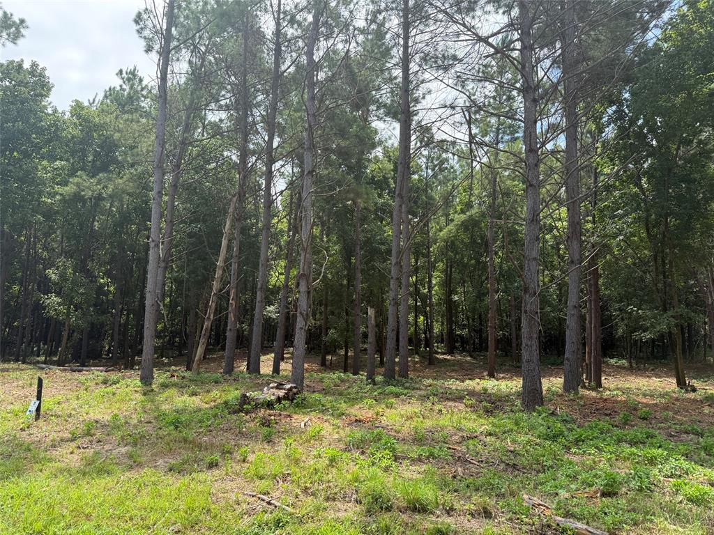 168 Cinnamon Teal Trail Lot 79 Property Photo 2