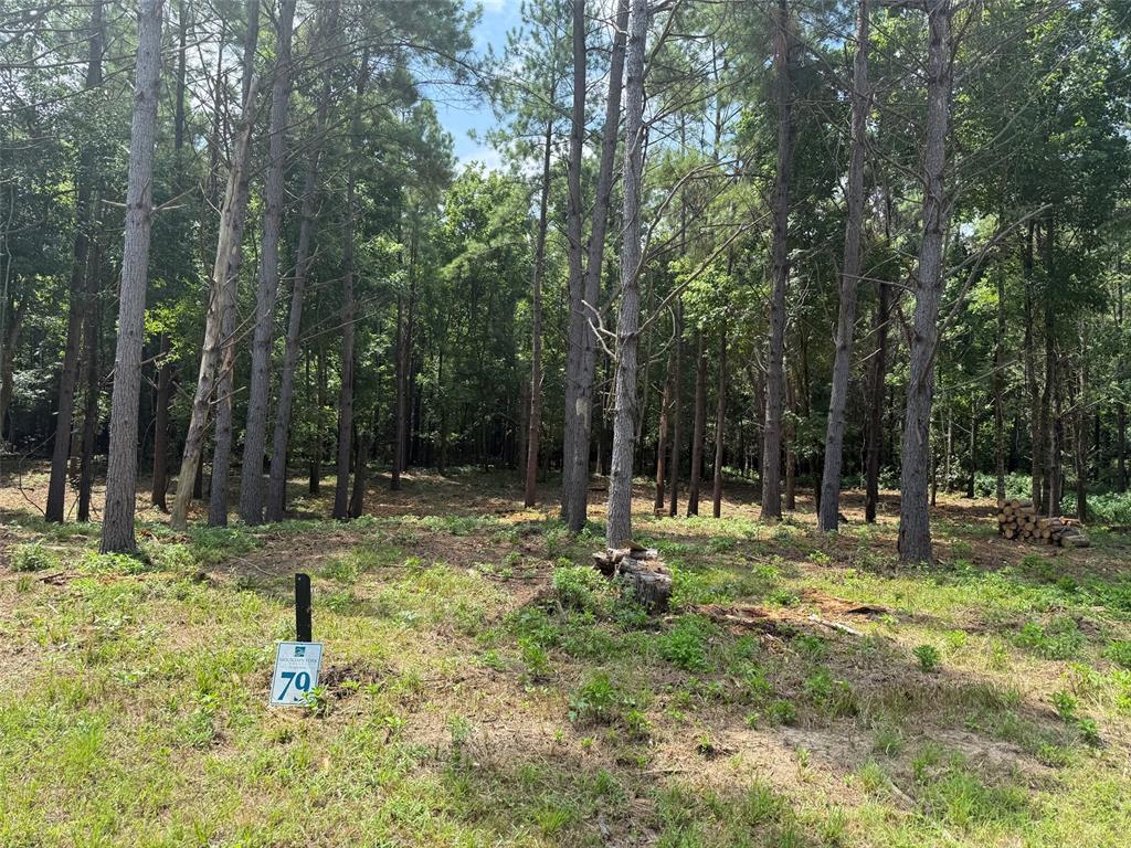 168 Cinnamon Teal Trail Lot 79 Property Photo 3