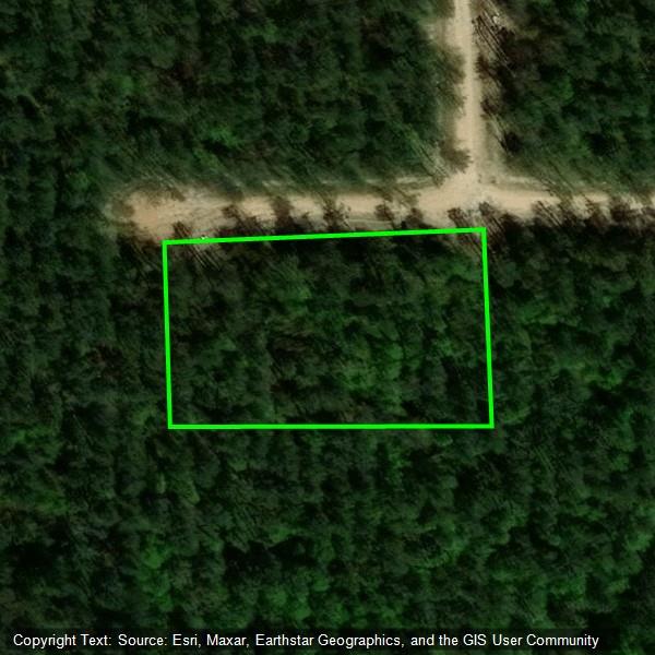 168 Cinnamon Teal Trail Lot 79 Property Photo 4