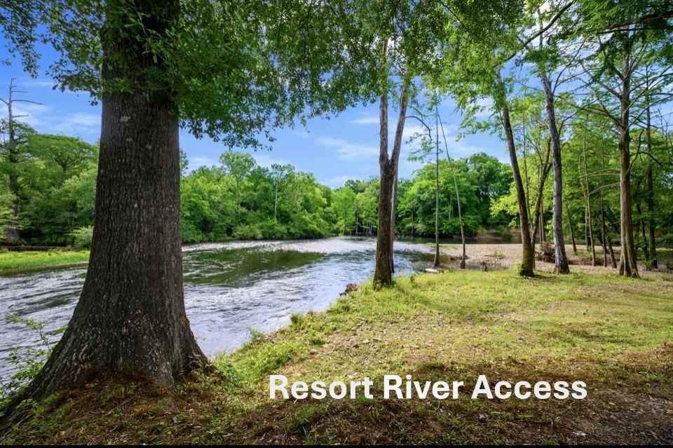 168 Cinnamon Teal Trail Lot 79 Property Photo 7