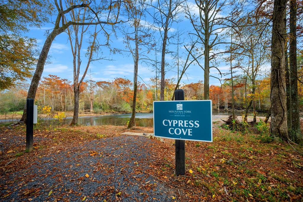 168 Cinnamon Teal Trail Lot 79 Property Photo 12