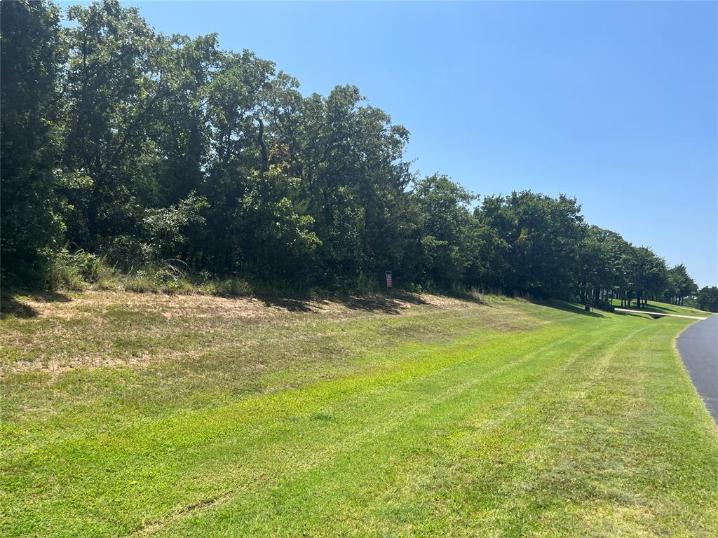 6500 Mystic Valley Drive Property Photo 3