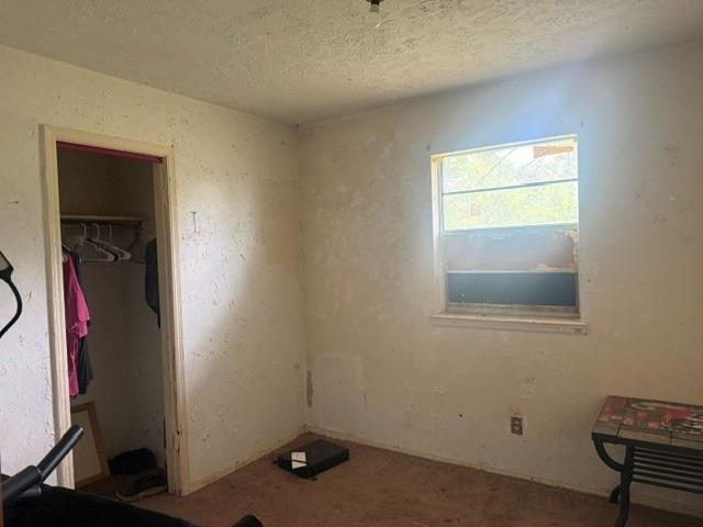 306 W Jerry Lane Property Photo 21