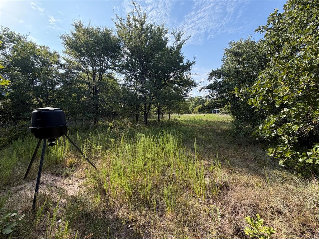 11967 Ns 3620 Road Property Photo 5