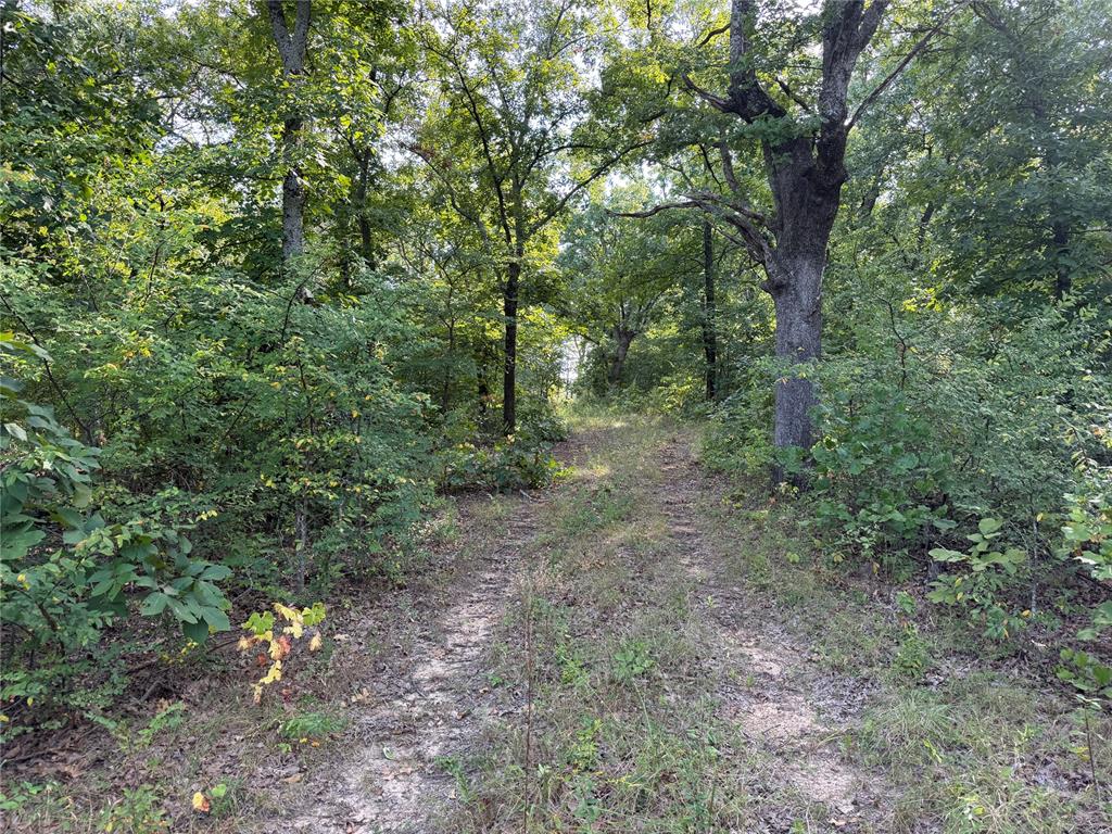 11967 Ns 3620 Road Property Photo 9