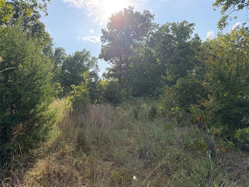 11967 Ns 3620 Road Property Photo 10