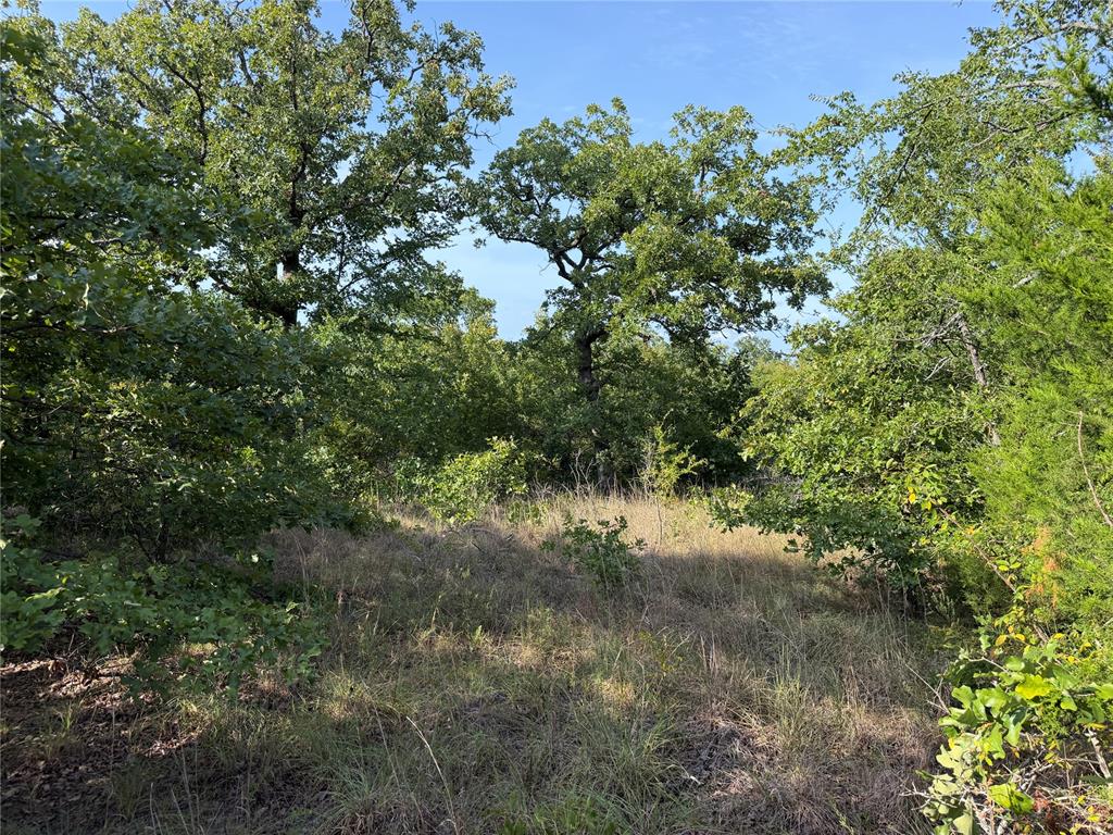 11967 Ns 3620 Road Property Photo 15