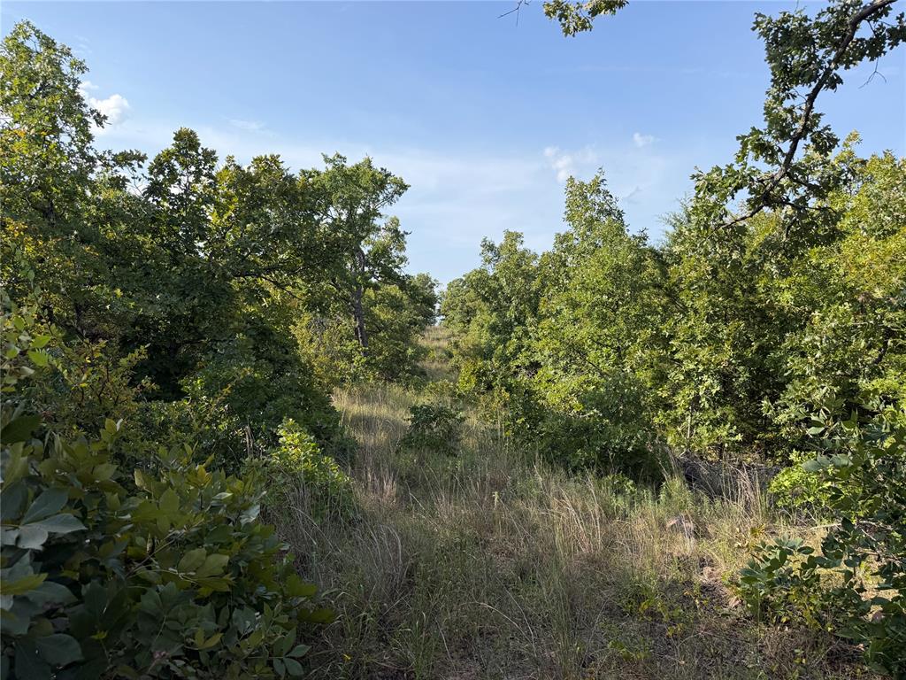 11967 Ns 3620 Road Property Photo 16