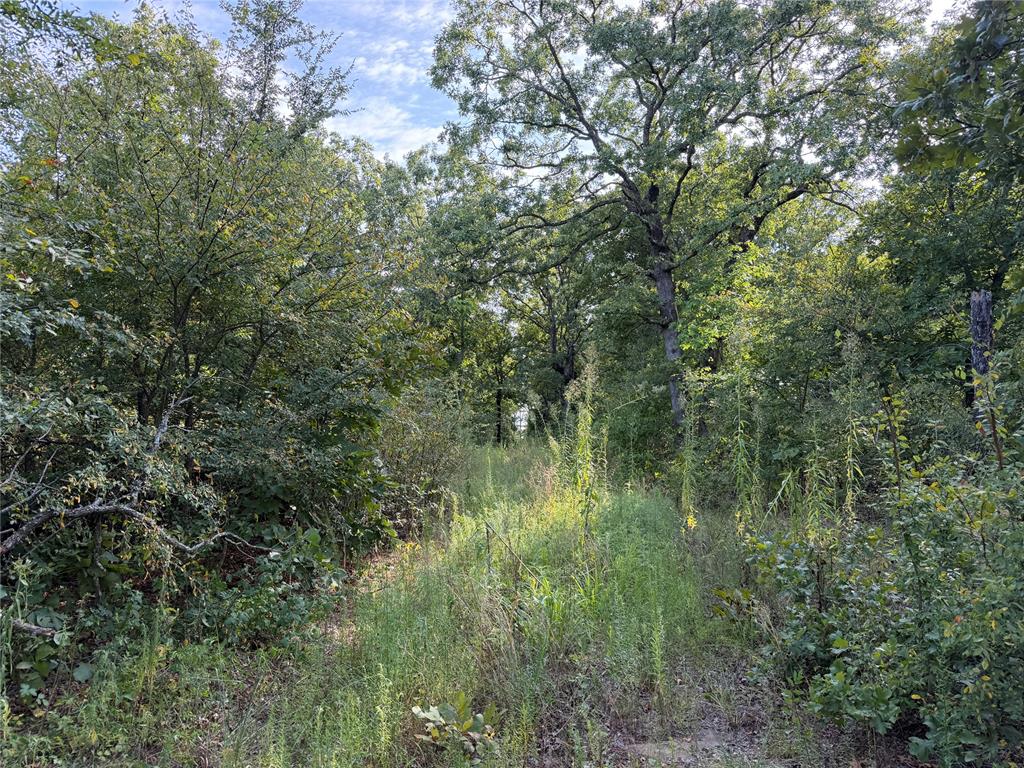 11967 Ns 3620 Road Property Photo 18