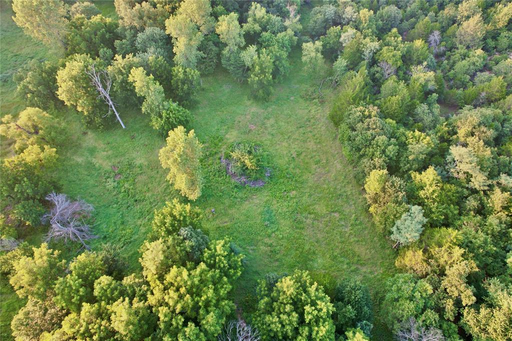 4807 Turkey Trail Property Photo 9
