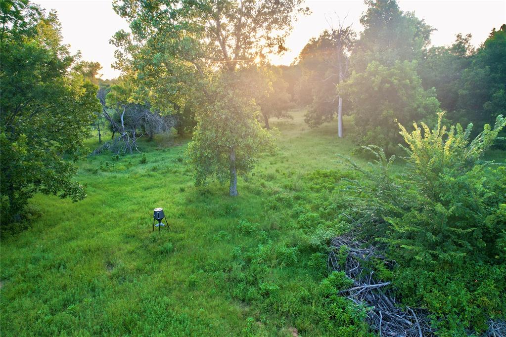 4807 Turkey Trail Property Photo 10