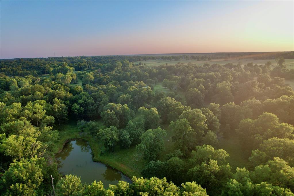 4807 Turkey Trail Property Photo 12