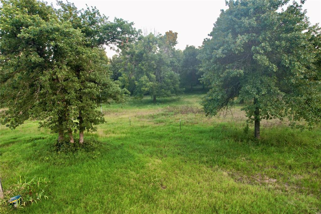 4807 Turkey Trail Property Photo 17