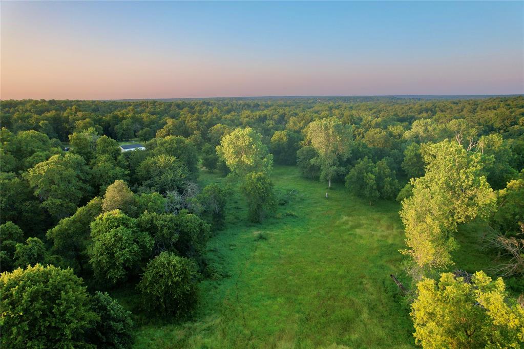 4807 Turkey Trail Property Photo 18