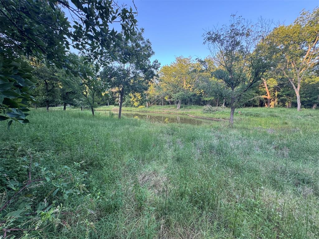 4807 Turkey Trail Property Photo 28