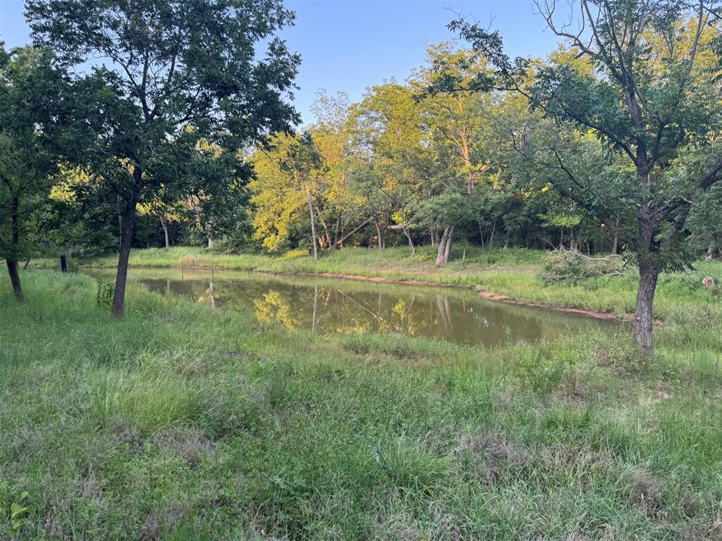 4807 Turkey Trail Property Photo 29