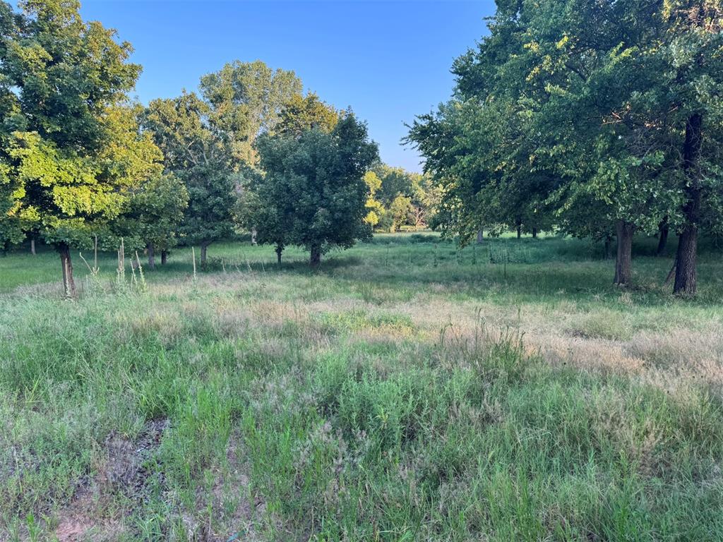4807 Turkey Trail Property Photo 32