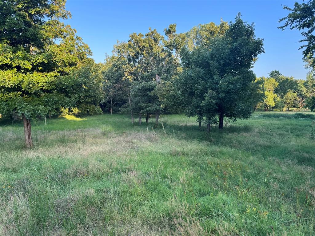 4807 Turkey Trail Property Photo 33