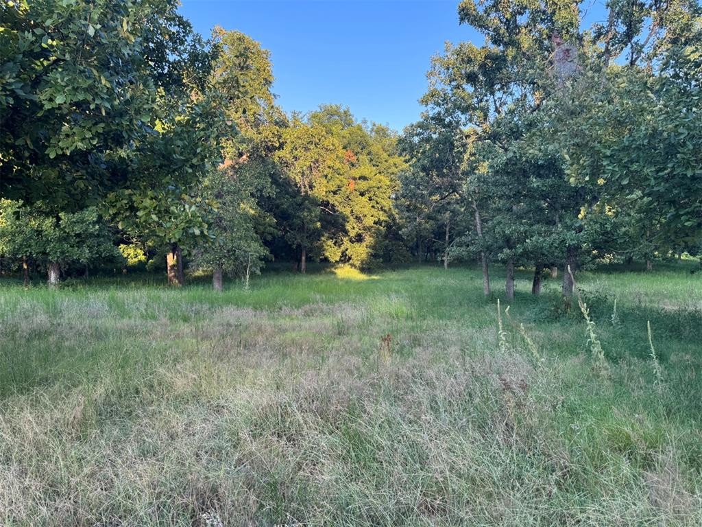 4807 Turkey Trail Property Photo 34