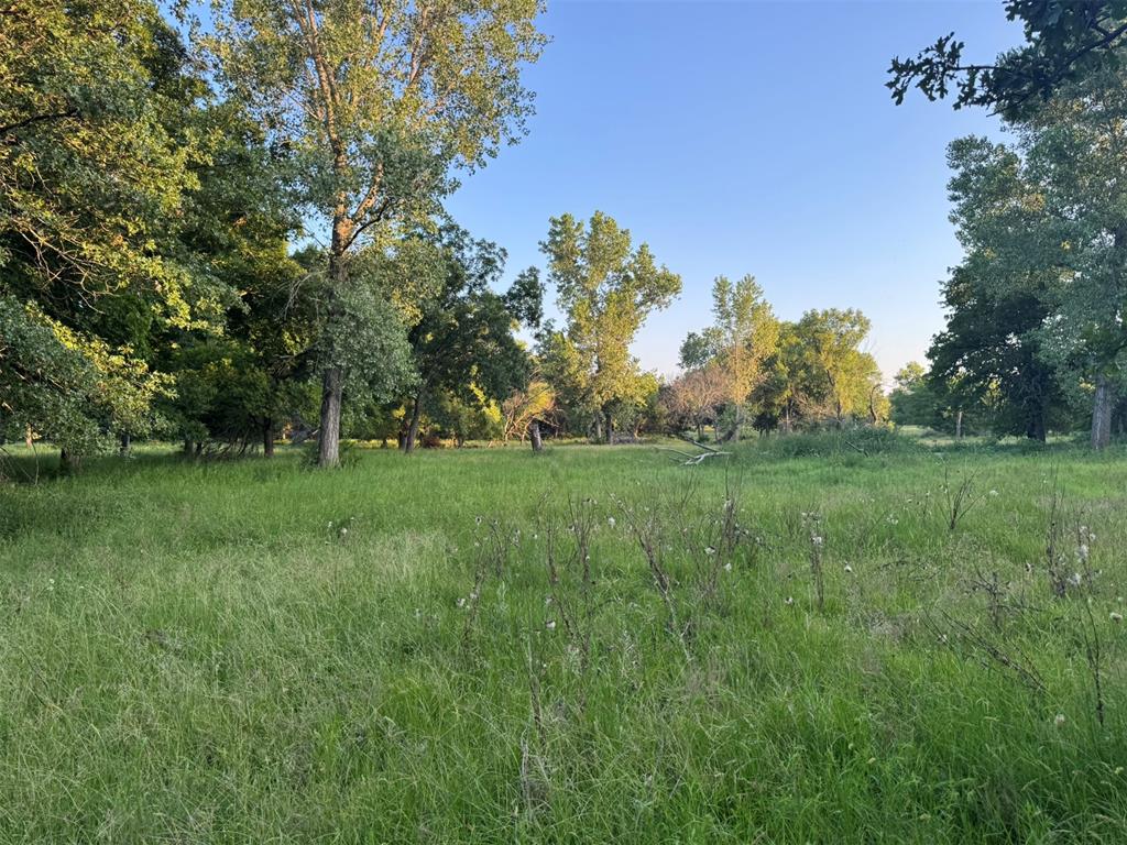 4807 Turkey Trail Property Photo 37