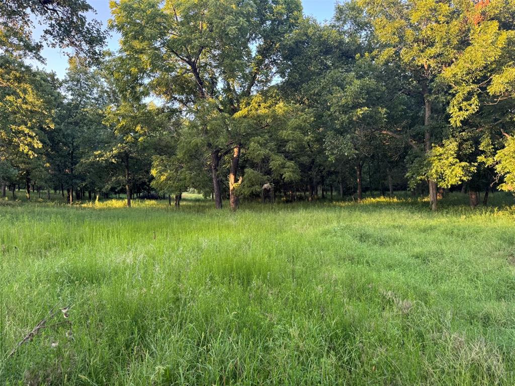 4807 Turkey Trail Property Photo 38