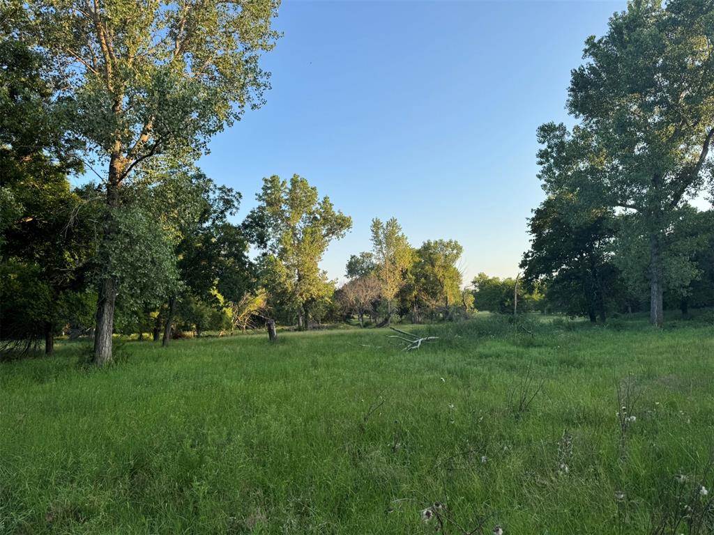 4807 Turkey Trail Property Photo 39