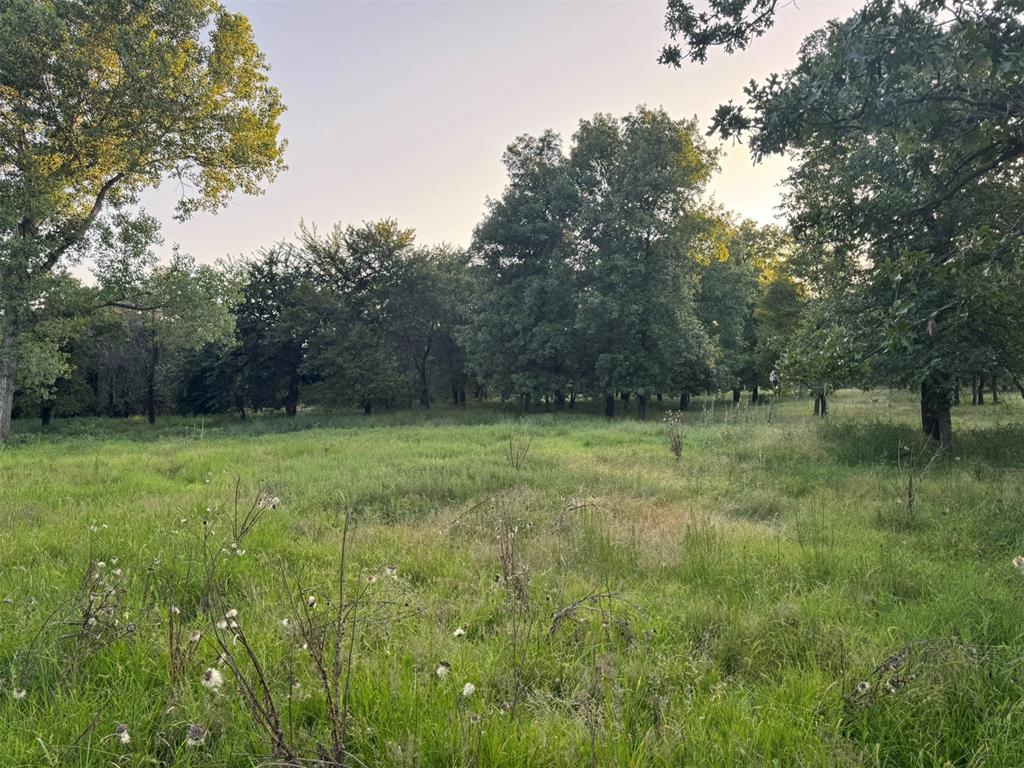 4807 Turkey Trail Property Photo 41