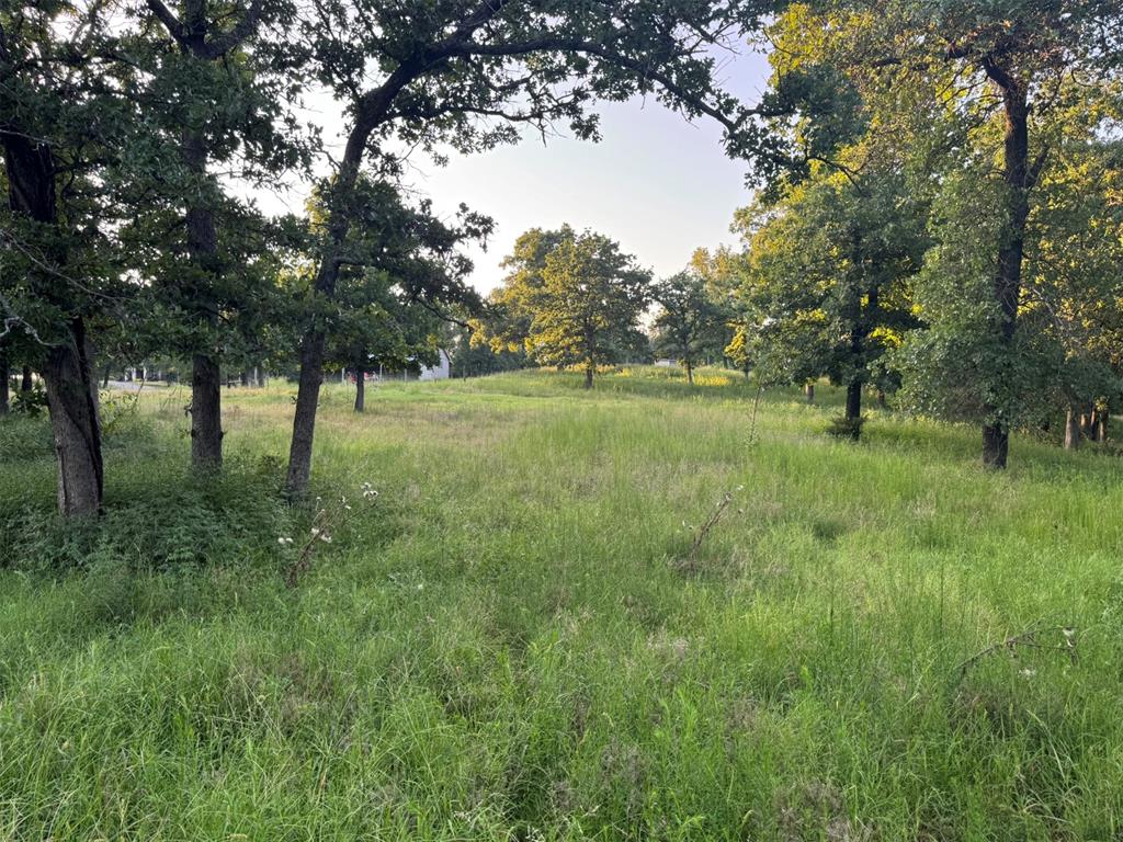 4807 Turkey Trail Property Photo 43