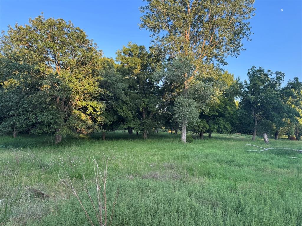 4807 Turkey Trail Property Photo 44