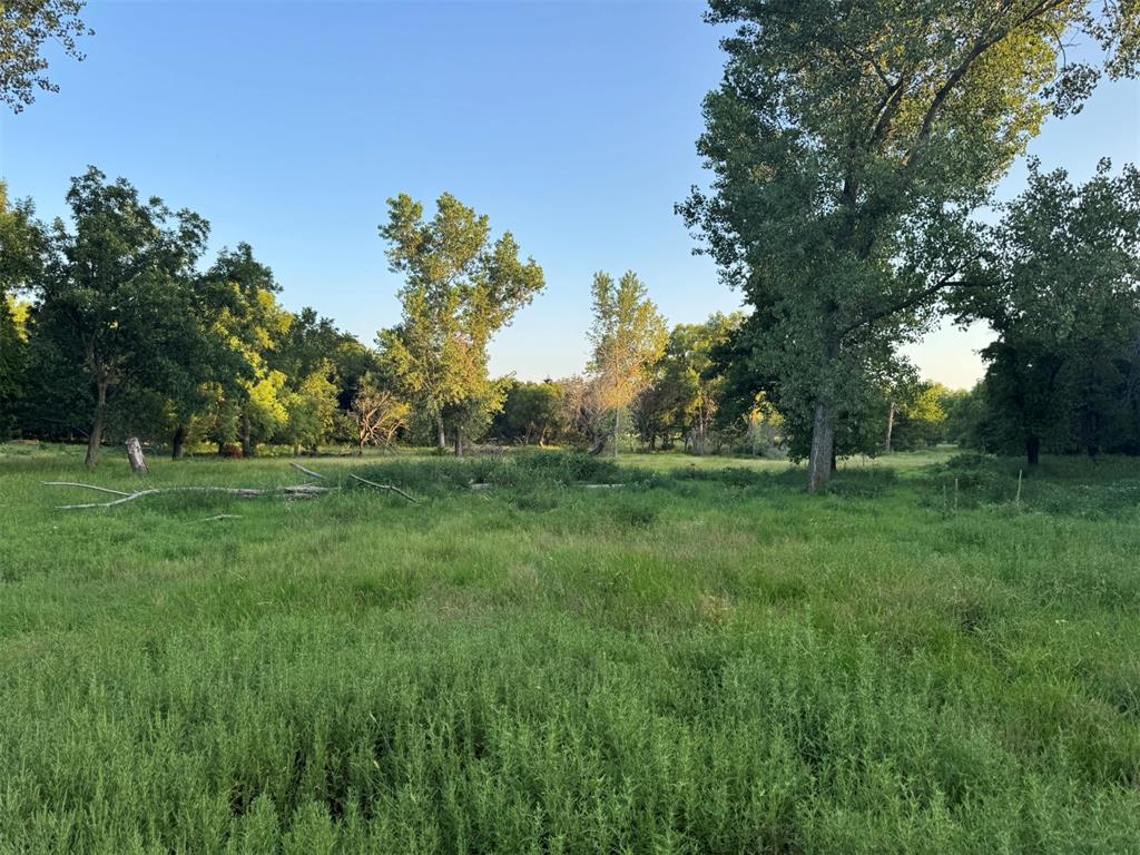 4807 Turkey Trail Property Photo 45
