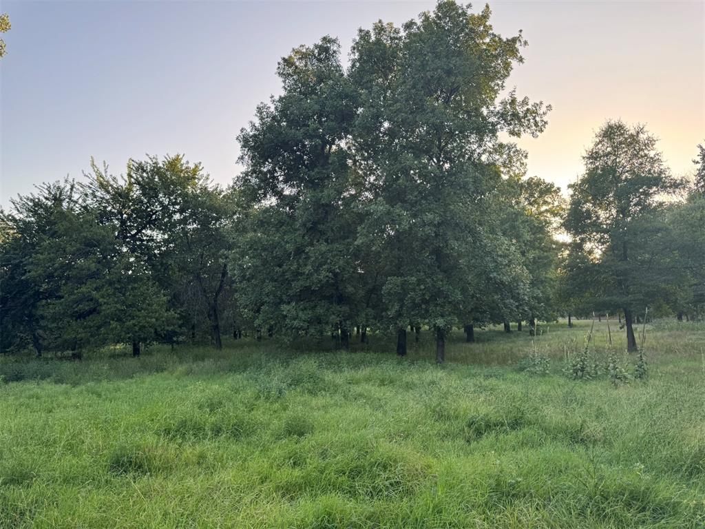 4807 Turkey Trail Property Photo 46