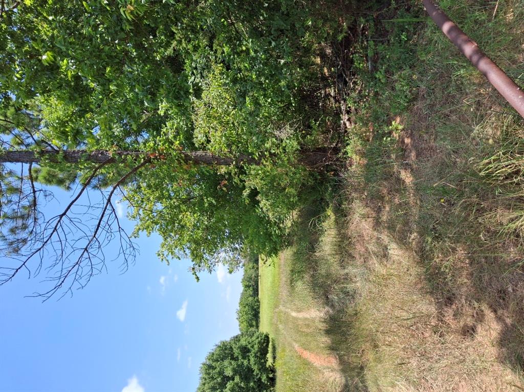 County Road 1460 Road Property Photo 2