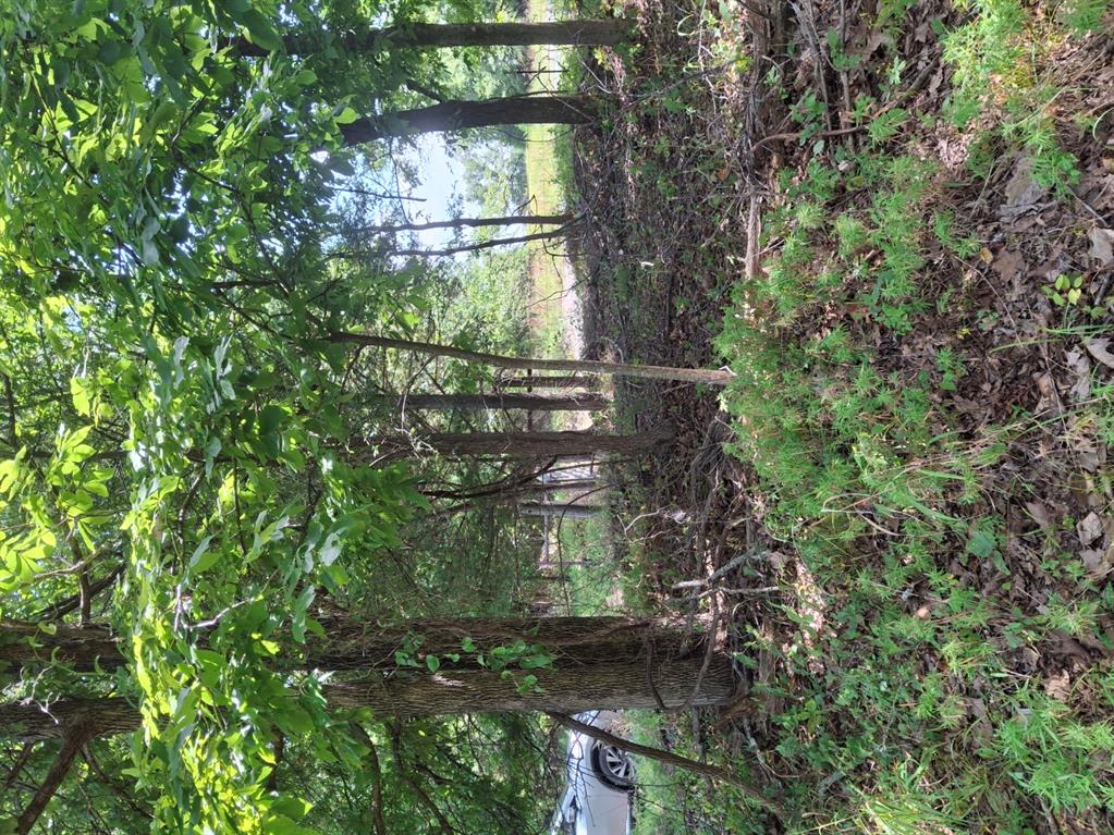 County Road 1460 Road Property Photo 4