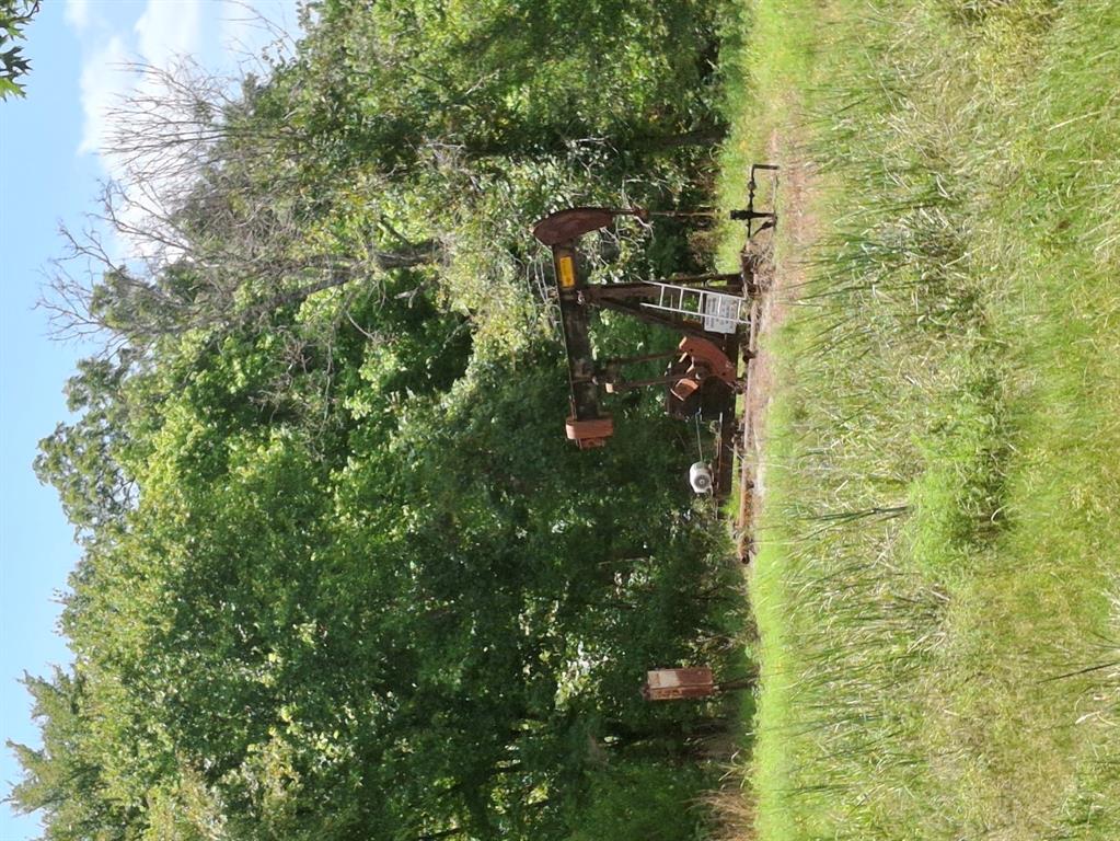 County Road 1460 Road Property Photo 6