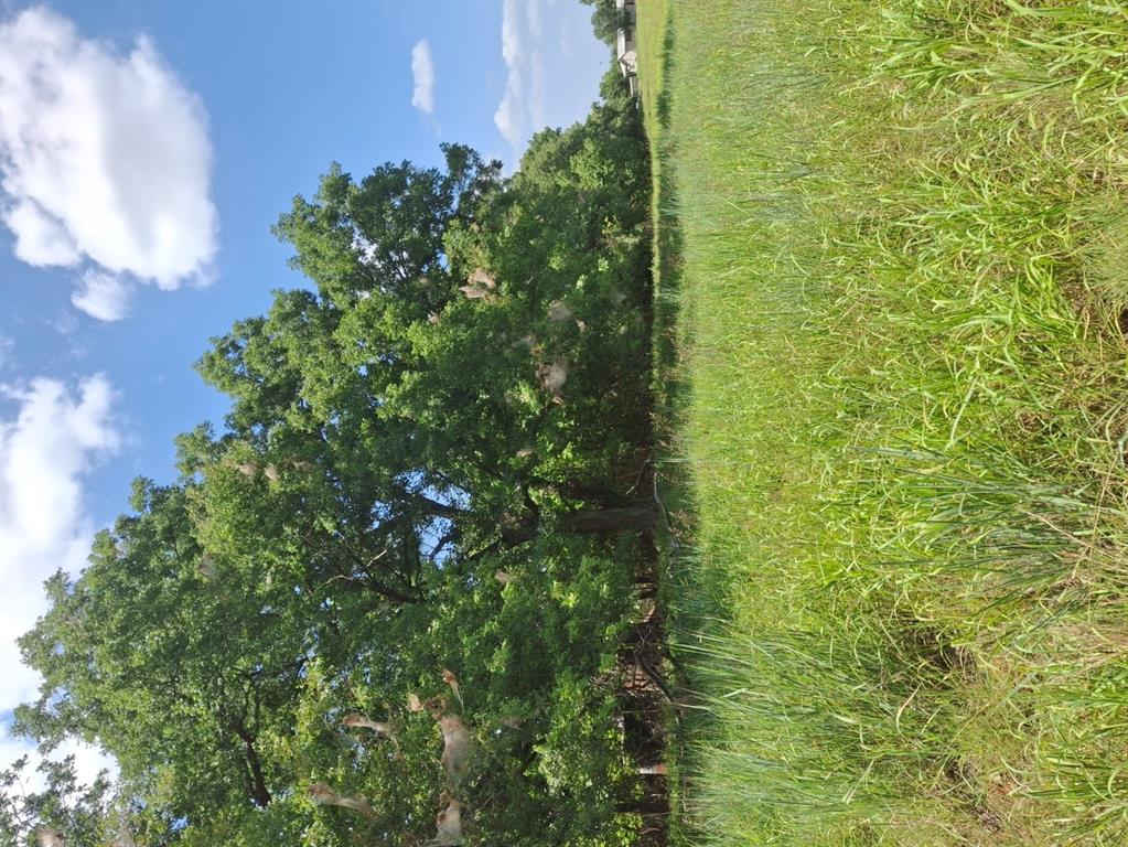 County Road 1460 Road Property Photo 7