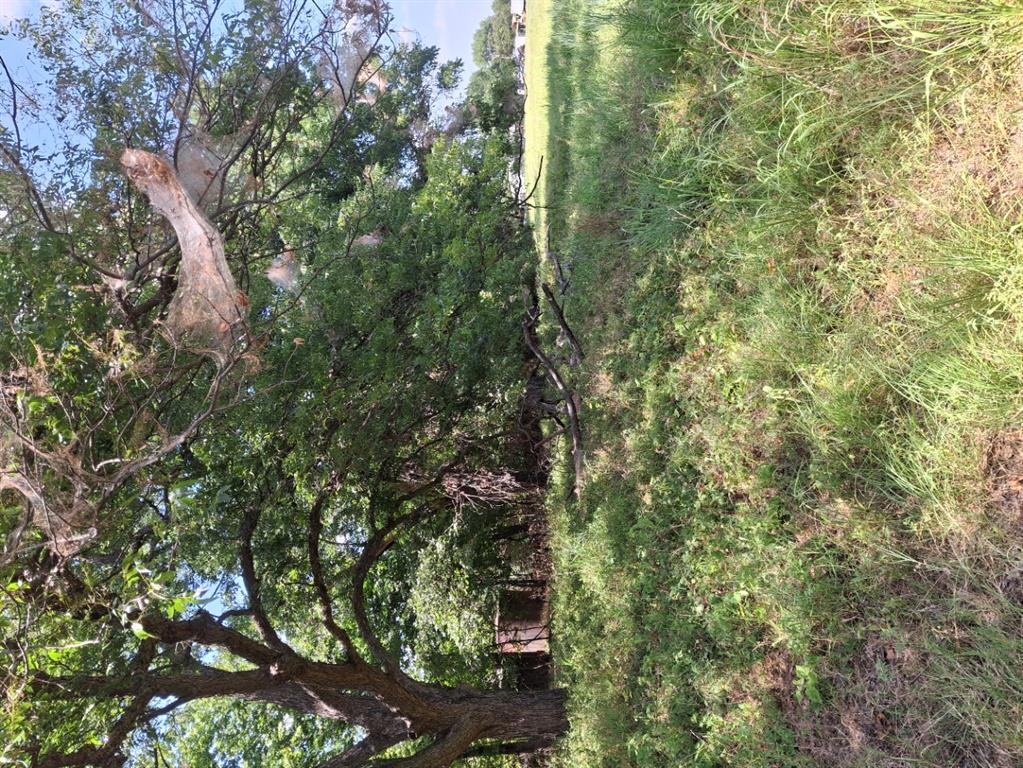 County Road 1460 Road Property Photo 8