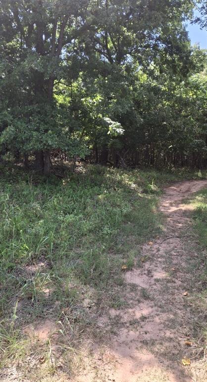 County Road 1460 Road Property Photo 10