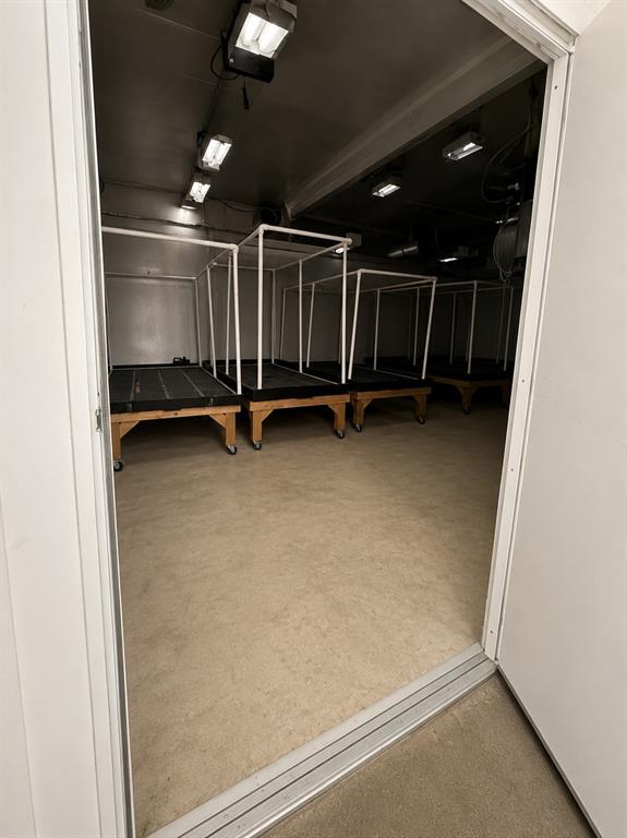 1241299 Property Photo 14