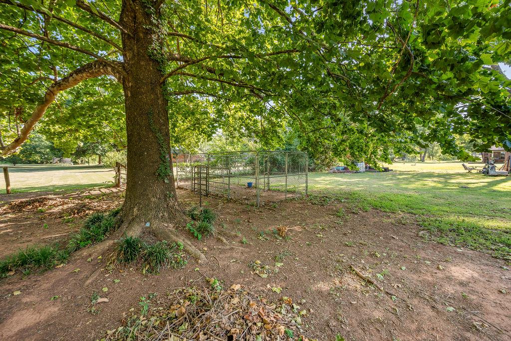 2341 Squirrel Road Property Photo 42