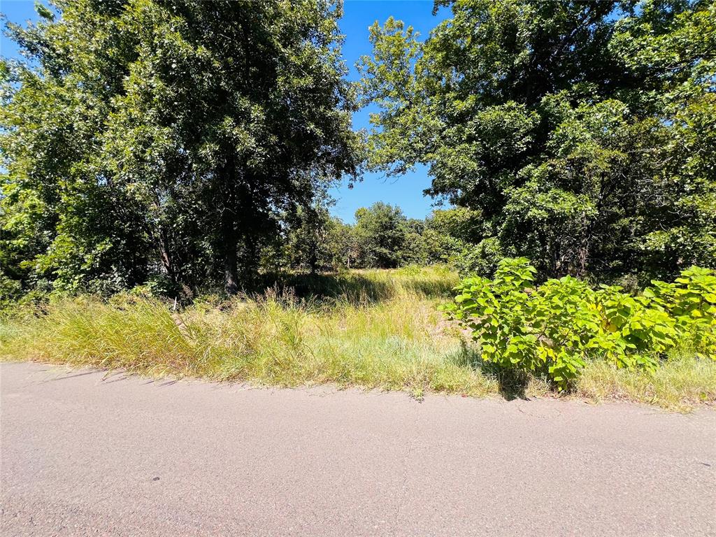12309 Red Bud Drive Property Photo 3