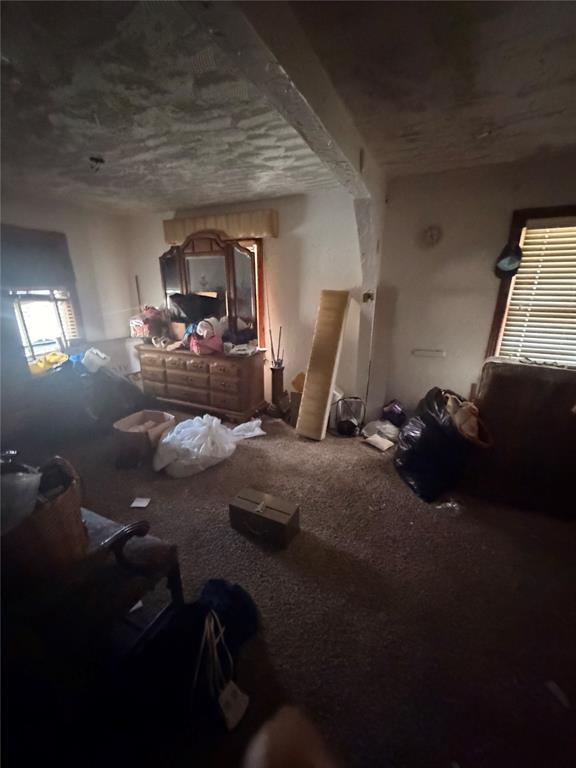 1117 Carverdale Drive Property Photo 12