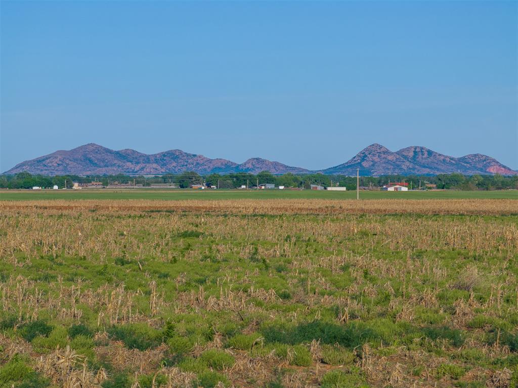 1241761 Property Photo 5