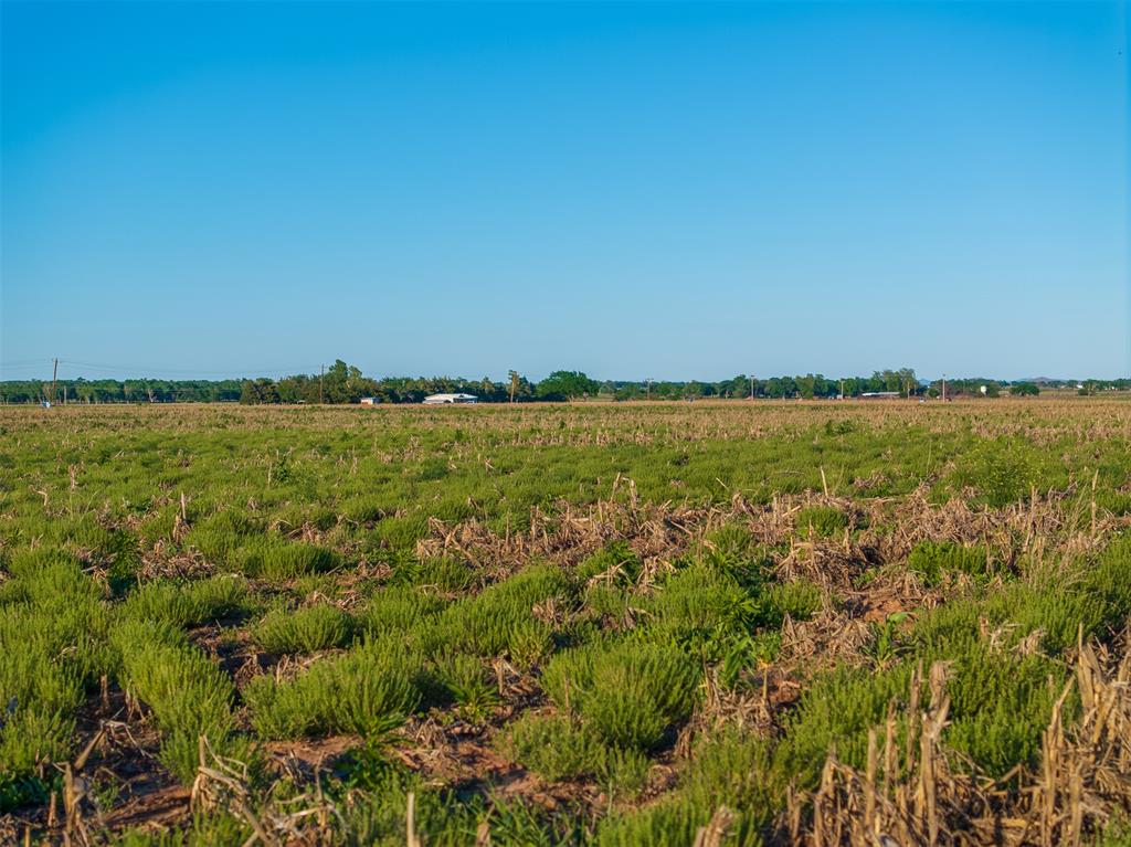 1241761 Property Photo 10