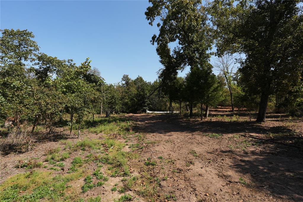 19331 Mooseville Drive Property Photo 14